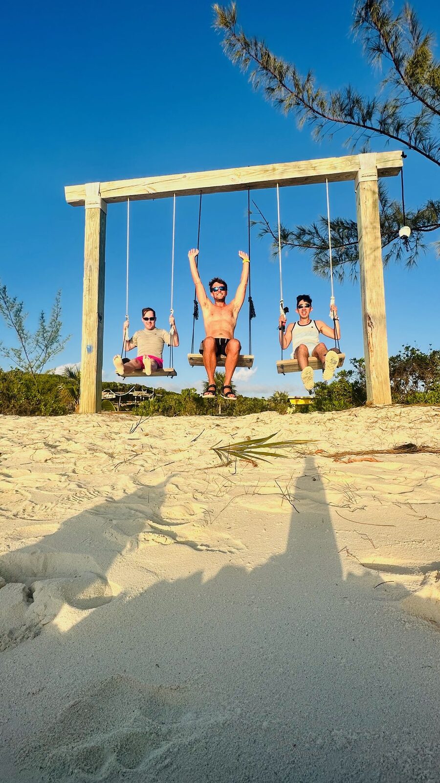 Guests on the beach swing