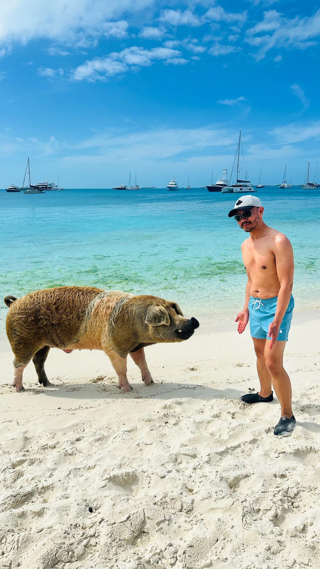 Swimming pigs in the Exumas
